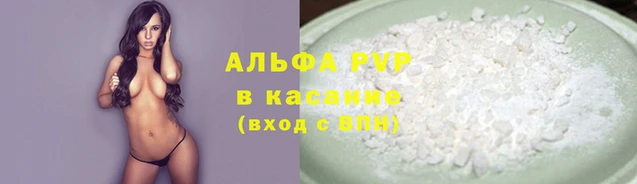 прущие грибы Липки