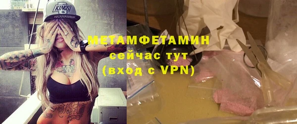 прущие грибы Липки