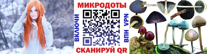Псилоцибиновые грибы мицелий Купить где Ипатово